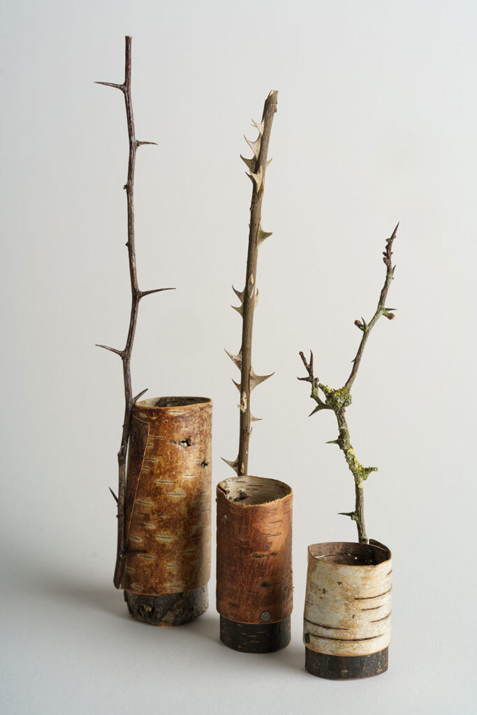 Bark-vessels-with-thorn-handles