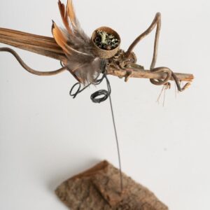 Daphne the insect h 30 x w 40 cms £24 .00