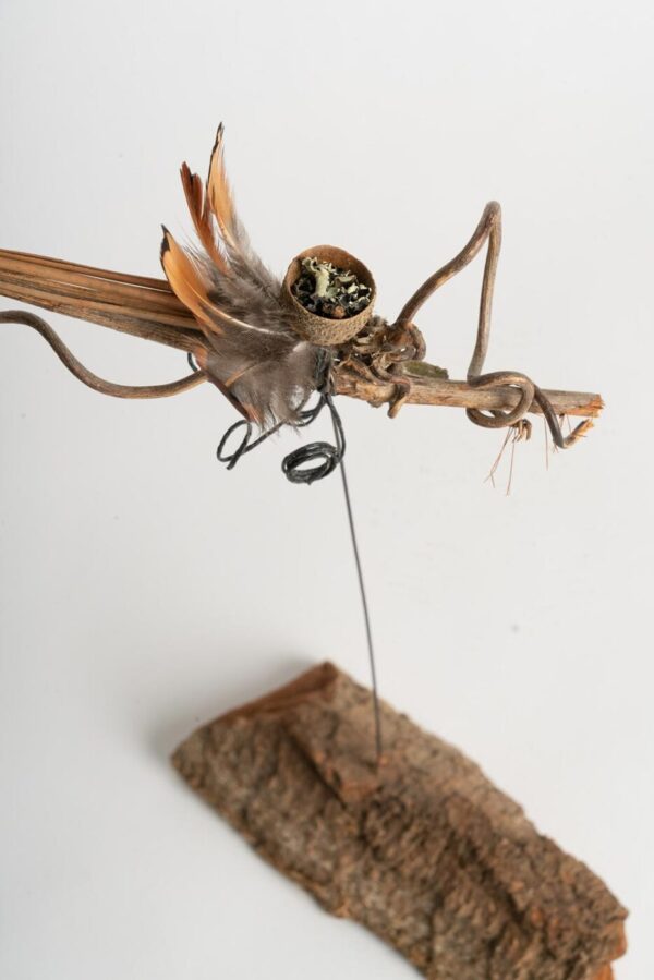 Daphne the insect h 30 x w 40 cms £24 .00
