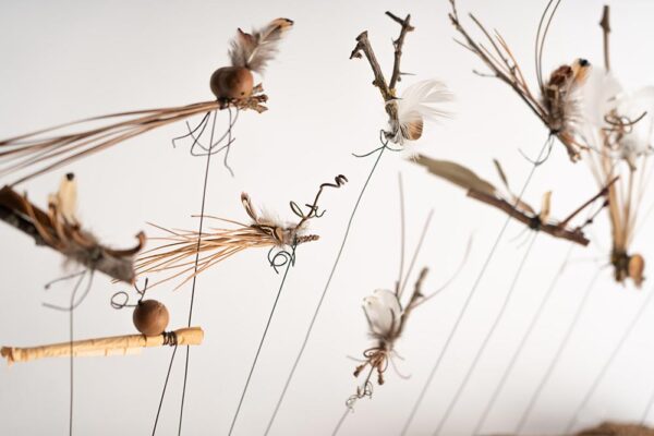Flight of 13 insects on a wooden base - Image 2