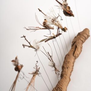 Flight of 13 insects on a wooden base h 35 x w 68 cms £120.00