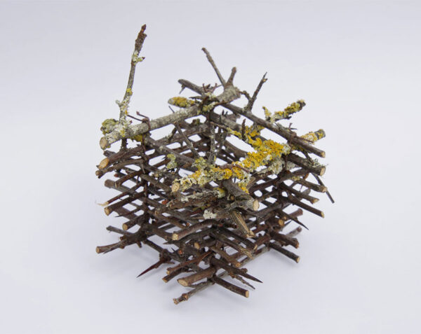 Thorn basket