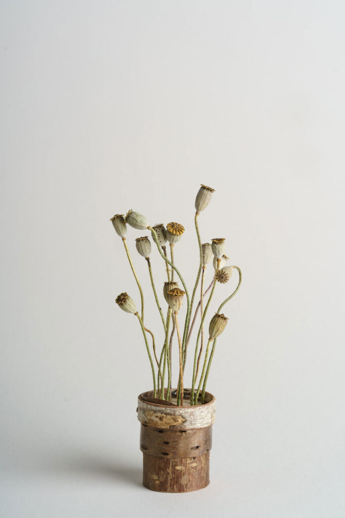 Poppy-seed-heads