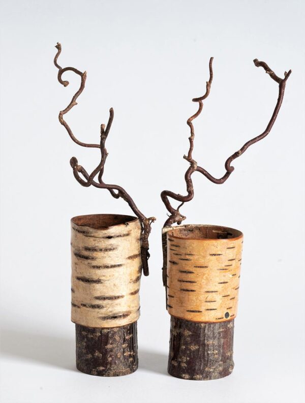 Silver birch bark vessels with twisted hazel ht 26 x w 6 cms £ 42.00 each