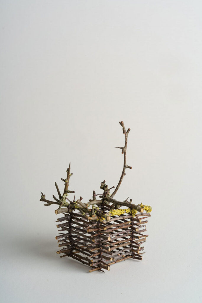 Thorn-Basket