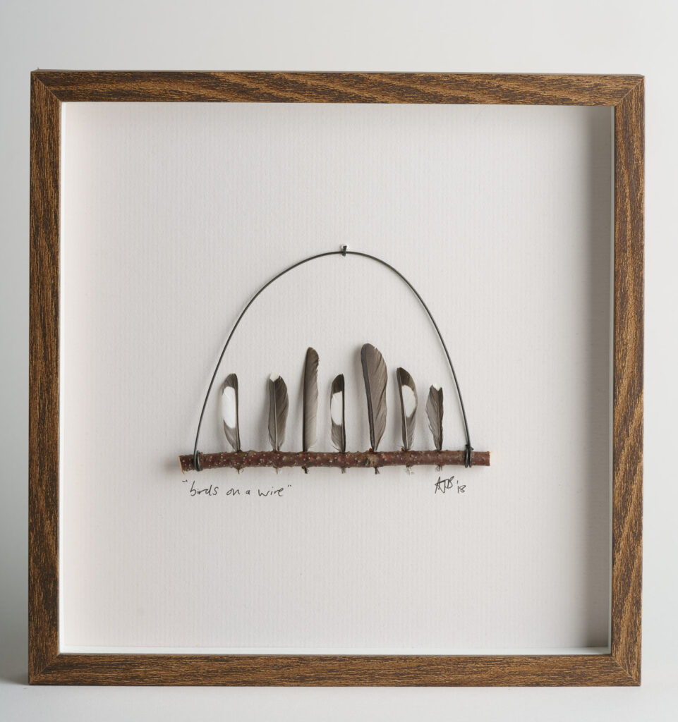 Wall hanging of magpie feathers