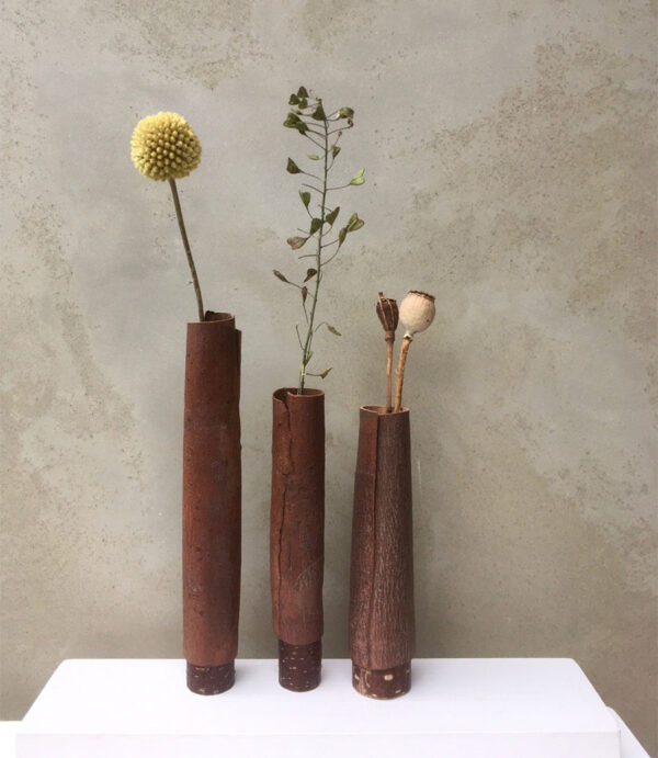Set of three eucalyptus bark pots on wooden base