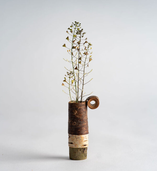 Roman silver birch bark pot